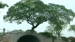 无锡蠡园