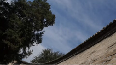 仰视天空