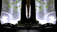 The Peace Within