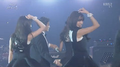 Mr.Mr Tiffany Cut