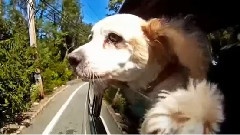 Comsic Ride