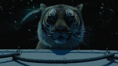 一束光