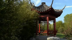 珍惜