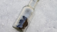 Bottle