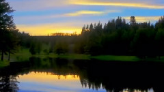 The Sound Of Silence