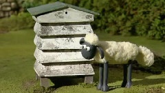 Buzz Off Bees
