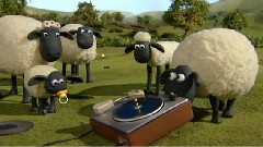 Saturday Night Shaun