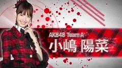 AKB48チームサプライズ 成员介绍