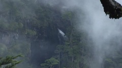 幽谷阳光