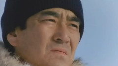 南极物语