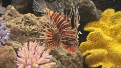 海底世界