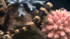 海底世界