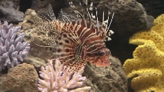海底世界