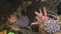海底世界
