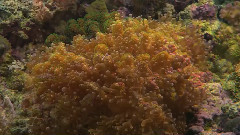 海底世界
