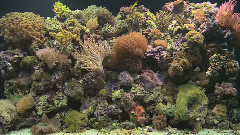 海底世界
