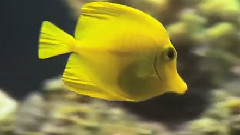 海底世界