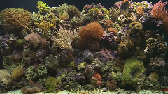 海底世界