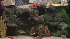 海底世界