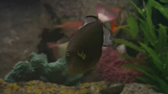 海底世界