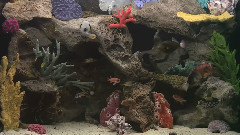 海底世界