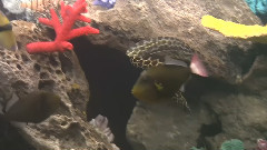 海底世界