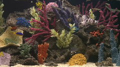 海底世界
