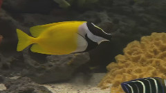 海底世界