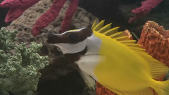 海底世界