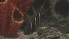 海底世界