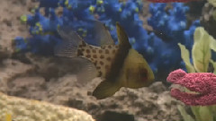 海底世界