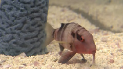 海底世界