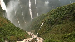 Beautiful Hawaiian Forest
