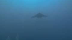 大海的风景
