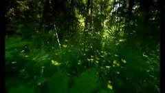 永至不渝