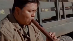 沧海一声笑