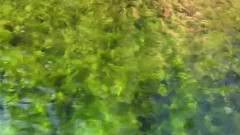 浪漫秋色