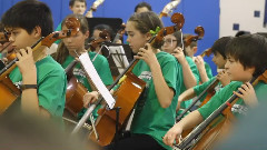 Cello