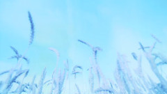 梦幻夜空