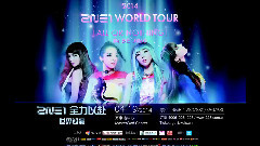 2NE1 2014 