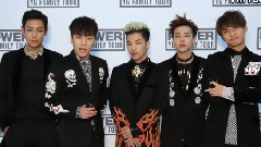YG Family Concert 2014 < Power > In Japan