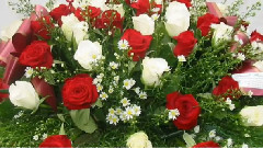 Alain Morisod & Sweet People - Les Roses Blanches