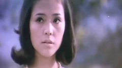 庭院深深 电影<庭院深深>主题曲