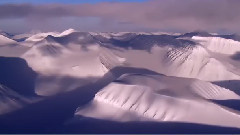 Incredible Beauty