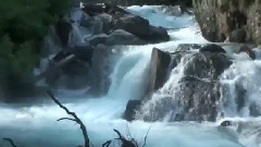 Wild Water