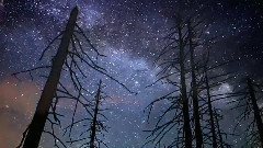 来自星星的爱