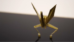 Dancing Paper