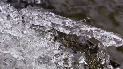 Early Spring Language