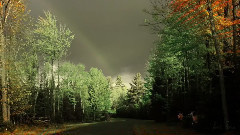 Sometimes When It Rains