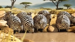 The Waterhole